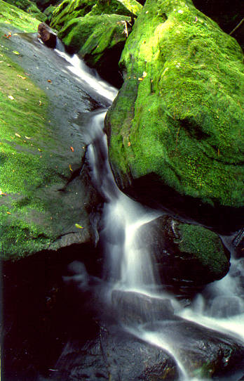 waterfall1.jpg