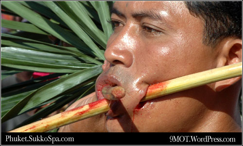 phuket_vegetarian_31.jpg