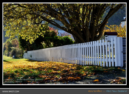 สะพายกล้องท่อง New Zealand  #4:  เมืองแห่งใบไม้เปลี่ยนสีที่ Arrow Town และสวรรค์ของนักช็อปที่ Queenstown