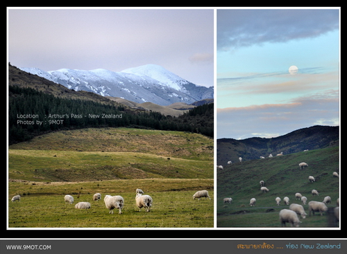 Arthur's Pass