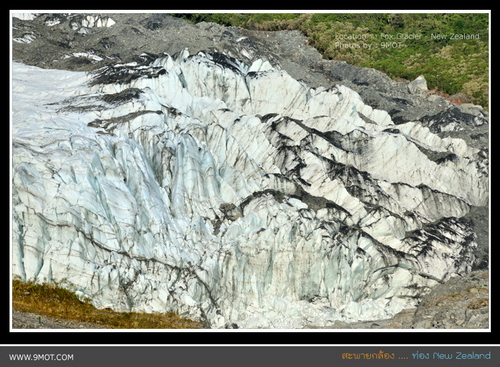 Fox Glacier