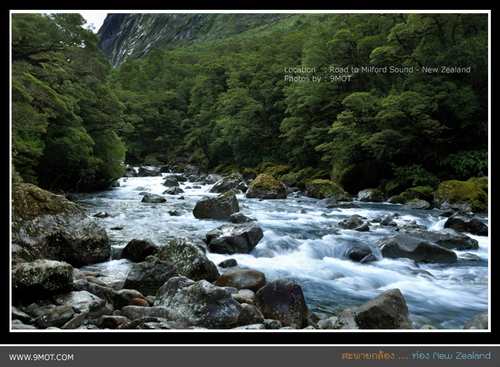 Milford Sound