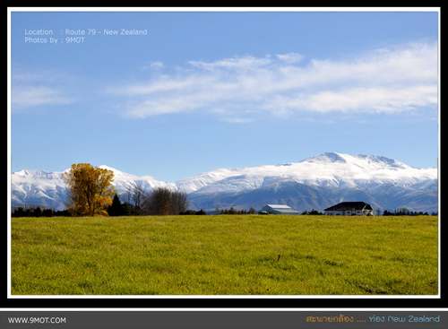 เส้นทางสู่ Lake Tekapo