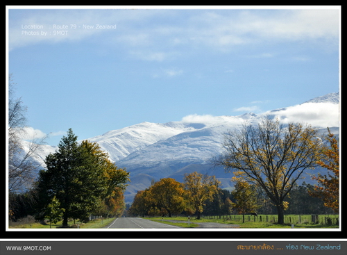 เส้นทางสู่ Lake Tekapo