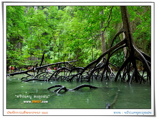 canoe-Phuket1