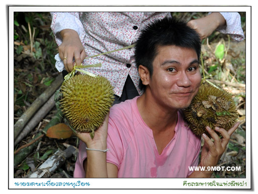 durian1