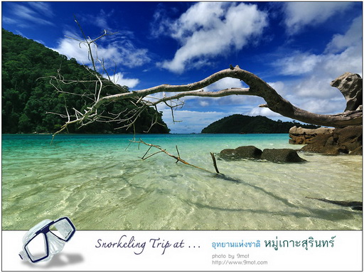 Snorkeling ที่หมู่เกาะสุรินทร์