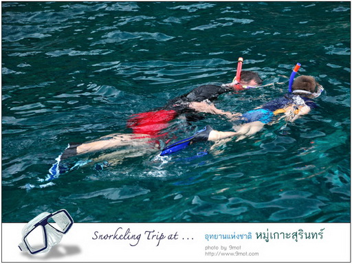 Snorkeling ที่หมู่เกาะสุรินทร์