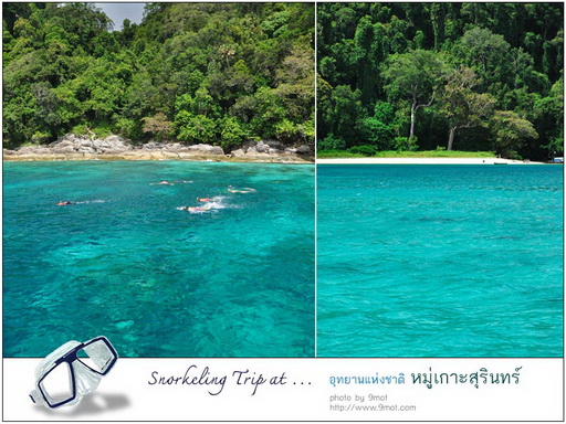 Snorkeling ที่หมู่เกาะสุรินทร์