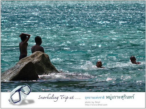 Snorkeling ที่หมู่เกาะสุรินทร์