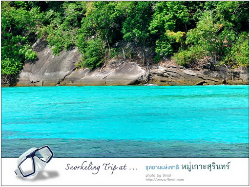 Snorkeling ที่หมู่เกาะสุรินทร์