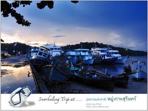 Snorkeling ที่หมู่เกาะสุรินทร์