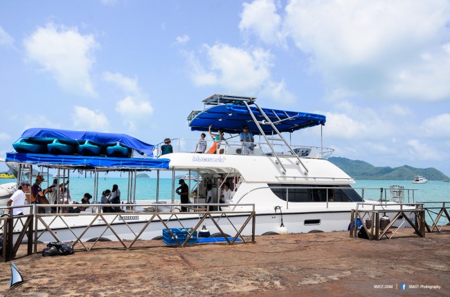 เรือ Blue World ลำใหญ่กว่า Speed boat 3 เครื่องยนต์พสมควรเลย 