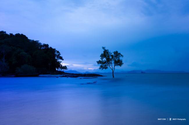 เกาะกวาง ... จุดถ่ายภาพเก๋ ๆ ของหาดคลองม่วง