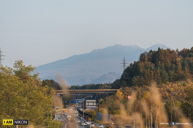 D75_1266