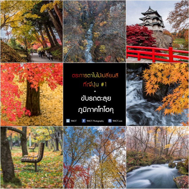 COVER-Japan