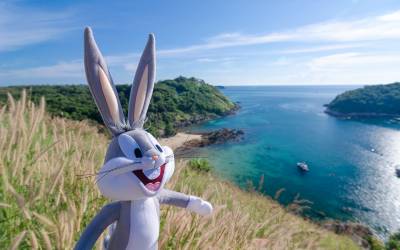 Bugs Bunny พาตระเวนถนนรอบเกาะภูเก็ต