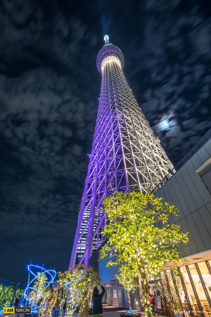 D75_3776