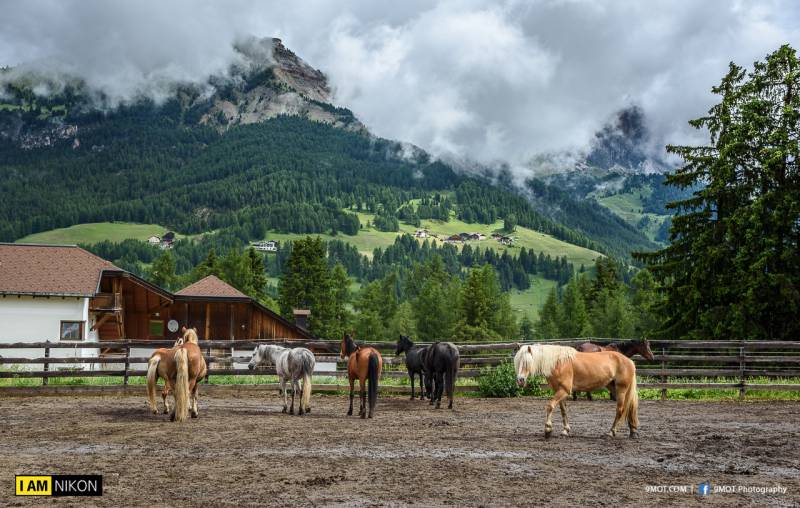 Dolomites-Italy-162