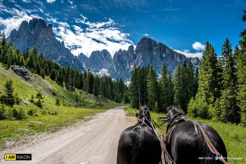 Dolomites-Italy-171