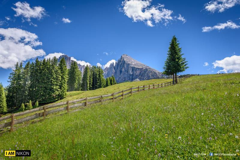 Dolomites-Italy-221