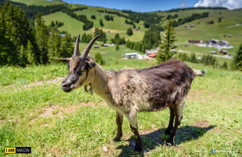 Dolomites-Italy-228