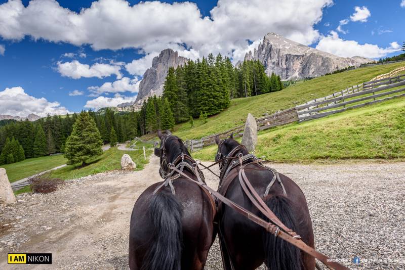 Dolomites-Italy-273