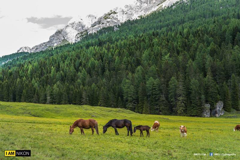 Dolomites-Italy-54