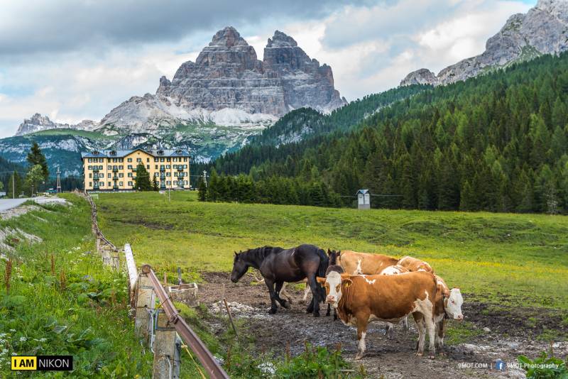 Dolomites-Italy-59