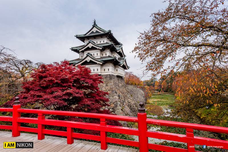 ใบไม้เปลี่ยนสีที่ Hirosaki park ญี่ปุ่น