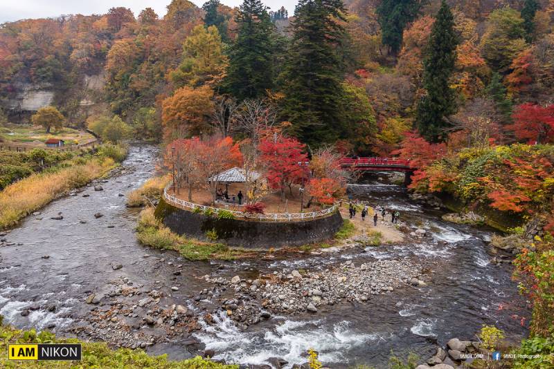 Nagano Maple Mountain 