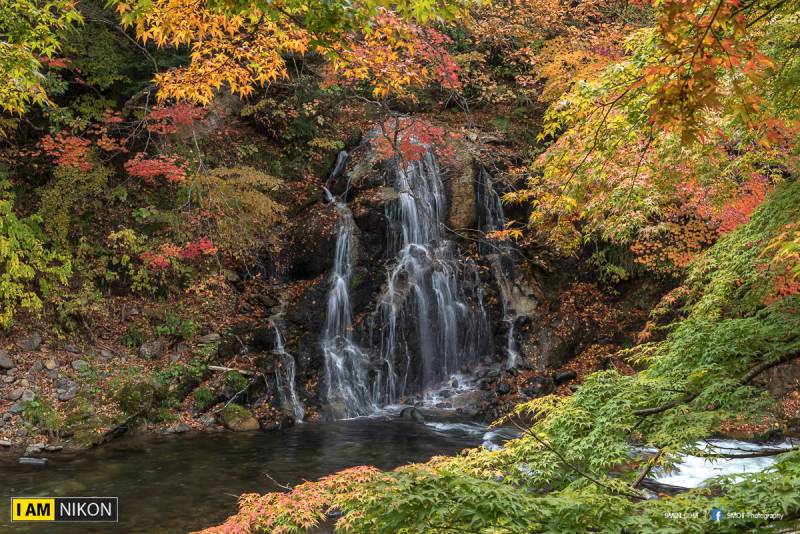 Nagano Maple Mountain 