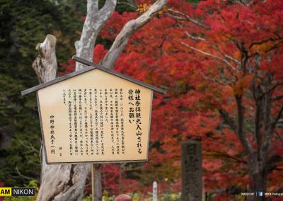 Nagano Maple Mountain