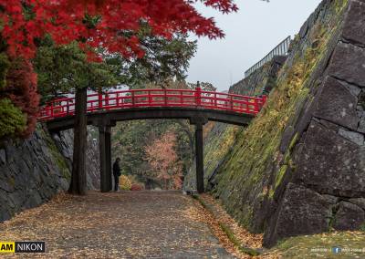 Iwate park