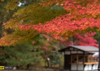 Moutsuu-ji