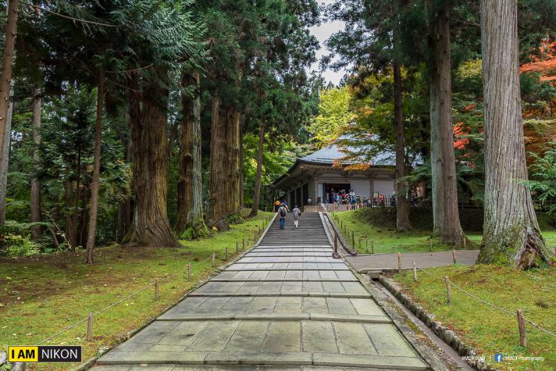 Chūson-ji 