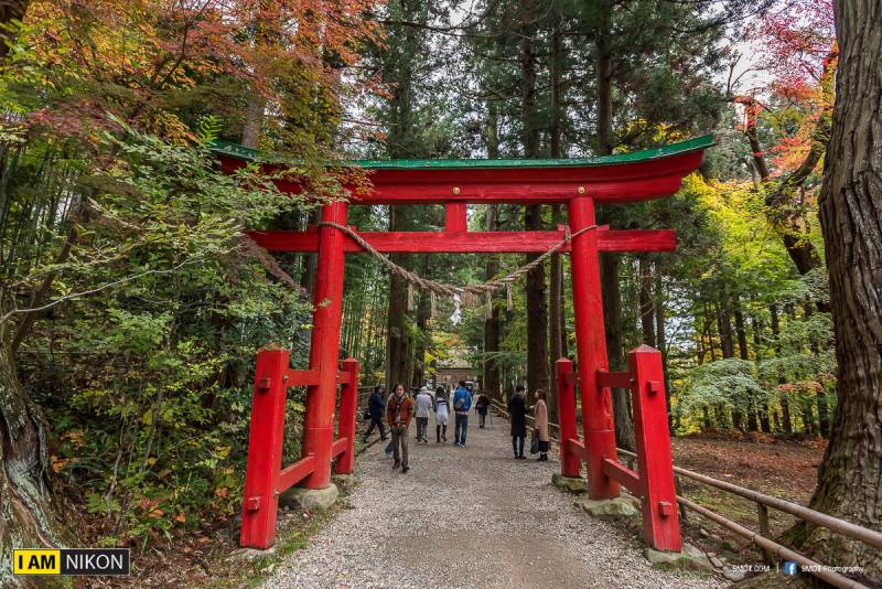 Chūson-ji 