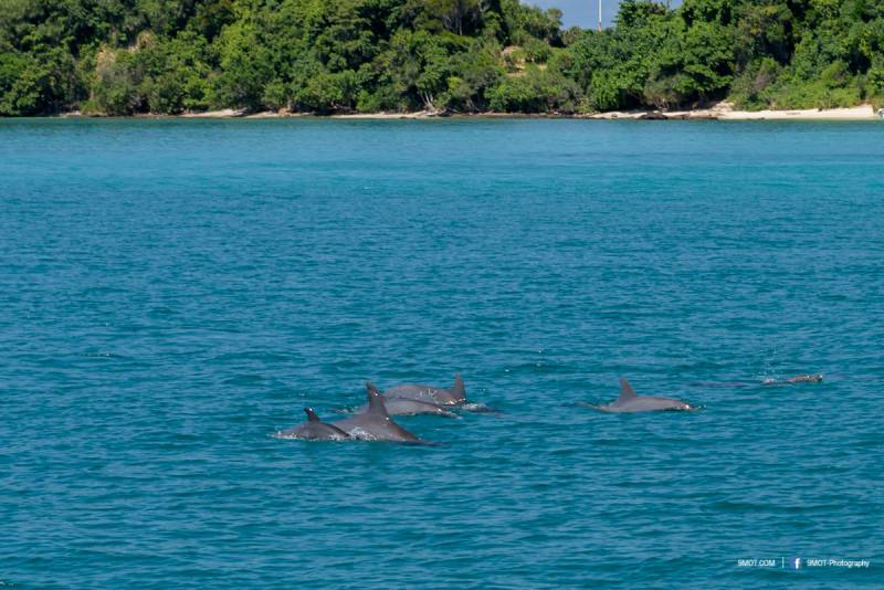 เที่ยวเกาะไม้ท่อนกัน Discover Catamaran