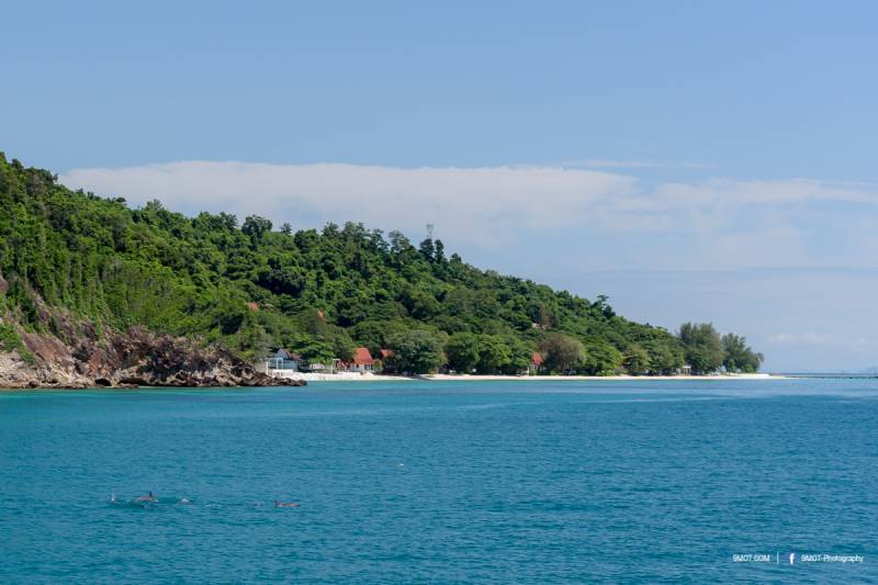 เที่ยวเกาะไม้ท่อนกัน Discover Catamaran
