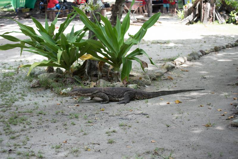 Koh Rok-1