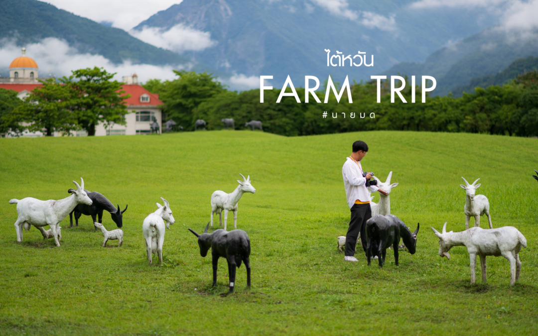 ไต้หวัน FARM TRIP  – เที่ยวไต้หวันไม่เหมือนใคร ไปเที่ยวฟาร์ม