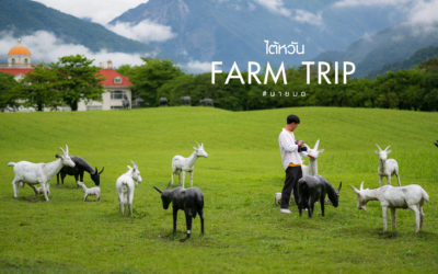 ไต้หวัน FARM TRIP  – เที่ยวไต้หวันไม่เหมือนใคร ไปเที่ยวฟาร์ม